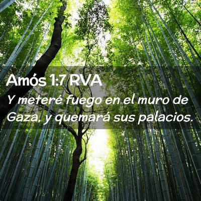 Picture 02 - Amós 1:7 RVA - Y meteré fuego en el muro de Gaza, y quemará - Bible Verse Picture