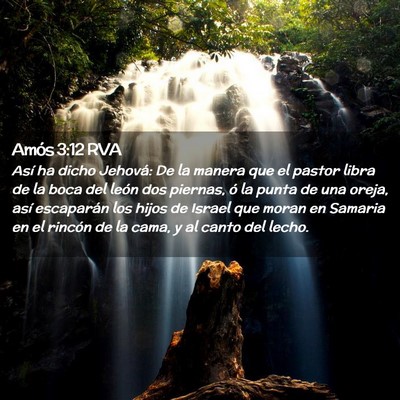 Picture 02 - Amós 3:12 RVA - Así ha dicho Jehová: De la manera que el pastor - Bible Verse Picture