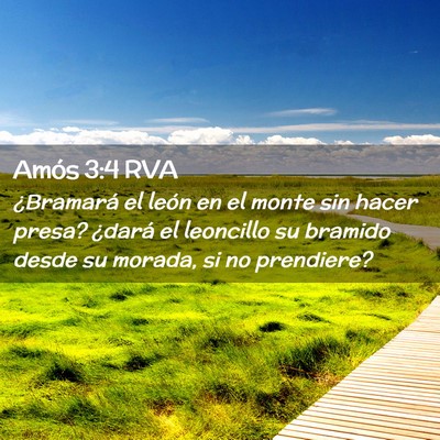 Picture 02 - Amós 3:4 RVA - ¿Bramará el león en el monte sin hacer presa? - Bible Verse Picture