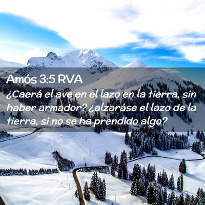 Picture 02 - Amós 3:5 RVA - ¿Caerá el ave en el lazo en la tierra, sin - Bible Verse Picture