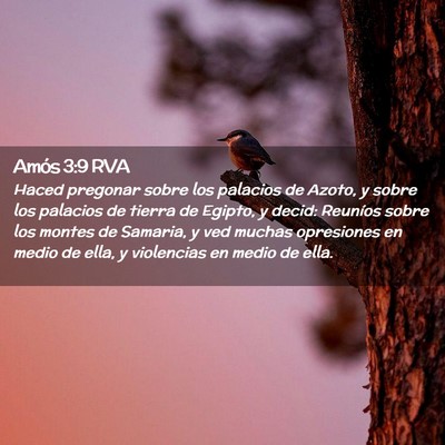 Picture 02 - Amós 3:9 RVA - Haced pregonar sobre los palacios de Azoto, y - Bible Verse Picture