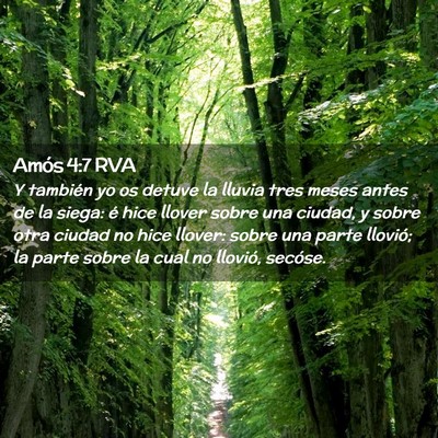 Picture 02 - Amós 4:7 RVA - Y también yo os detuve la lluvia tres meses - Bible Verse Picture