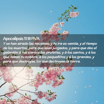 Picture 02 - Apocalipsis 11:18 RVA - Y se han airado las naciones, y tu ira es venida, - Bible Verse Picture