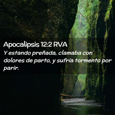 Picture 02 - Apocalipsis 12:2 RVA - Y estando preñada, clamaba con dolores de parto, - Bible Verse Picture