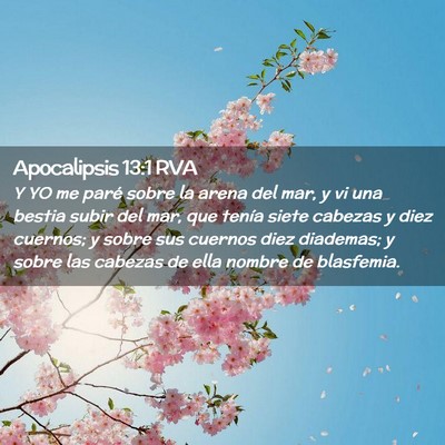 Picture 02 - Apocalipsis 13:1 RVA - Y YO me paré sobre la arena del mar, y vi una - Bible Verse Picture
