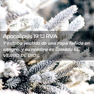 Picture 02 - Apocalipsis 19:13 RVA - Y estaba vestido de una ropa teñida en sangre: y - Bible Verse Picture