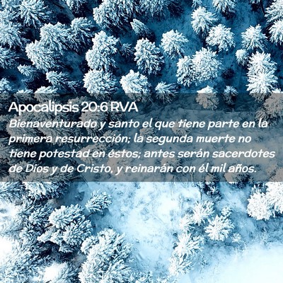 Picture 02 - Apocalipsis 20:6 RVA - Bienaventurado y santo el que tiene parte en la - Bible Verse Picture