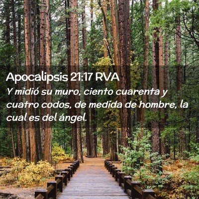 Picture 02 - Apocalipsis 21:17 RVA - Y midió su muro, ciento cuarenta y cuatro codos, - Bible Verse Picture