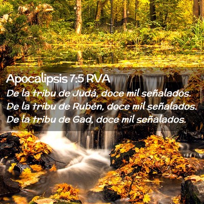 Picture 02 - Apocalipsis 7:5 RVA - De la tribu de Judá, doce mil señalados. De la - Bible Verse Picture