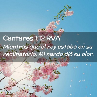 Picture 02 - Cantares 1:12 RVA - Mientras que el rey estaba en su reclinatorio, Mi - Bible Verse Picture