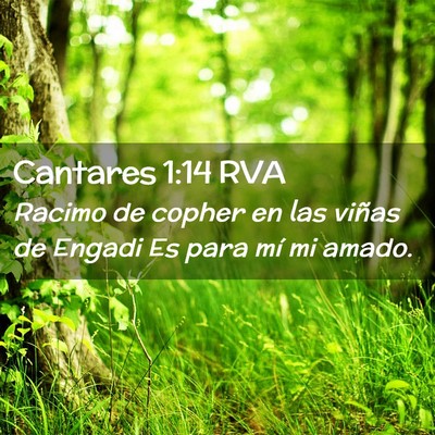 Picture 02 - Cantares 1:14 RVA - Racimo de copher en las viñas de Engadi Es para - Bible Verse Picture