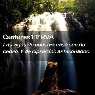 Picture 02 - Cantares 1:17 RVA - Las vigas de nuestra casa son de cedro, Y de - Bible Verse Picture