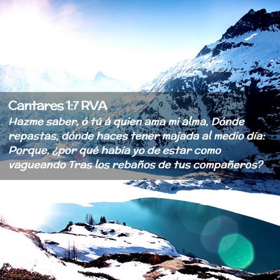 Picture 02 - Cantares 1:7 RVA - Hazme saber, ó tú á quien ama mi alma, Dónde - Bible Verse Picture