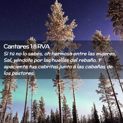 Picture 02 - Cantares 1:8 RVA - Si tú no lo sabes, oh hermosa entre las mujeres, - Bible Verse Picture