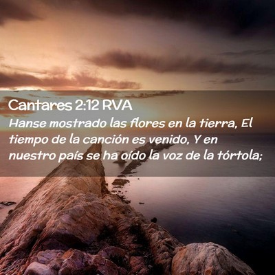 Picture 02 - Cantares 2:12 RVA - Hanse mostrado las flores en la tierra, El tiempo - Bible Verse Picture
