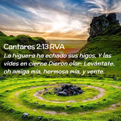 Picture 02 - Cantares 2:13 RVA - La higuera ha echado sus higos, Y las vides en - Bible Verse Picture
