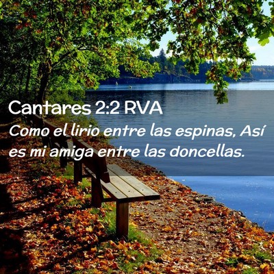 Picture 02 - Cantares 2:2 RVA - Como el lirio entre las espinas, Así es mi amiga - Bible Verse Picture