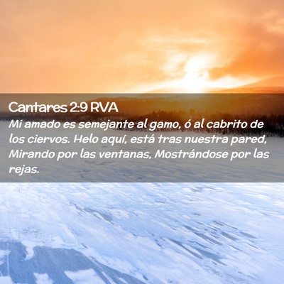 Picture 02 - Cantares 2:9 RVA - Mi amado es semejante al gamo, ó al cabrito de - Bible Verse Picture