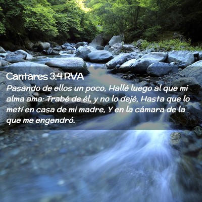 Picture 02 - Cantares 3:4 RVA - Pasando de ellos un poco, Hallé luego al que mi - Bible Verse Picture