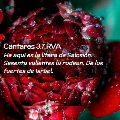 Picture 02 - Cantares 3:7 RVA - He aquí es la litera de Salomón: Sesenta - Bible Verse Picture