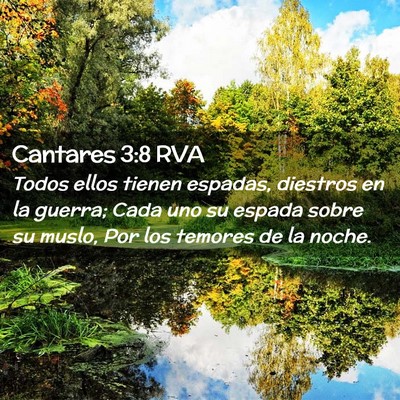 Picture 02 - Cantares 3:8 RVA - Todos ellos tienen espadas, diestros en la - Bible Verse Picture