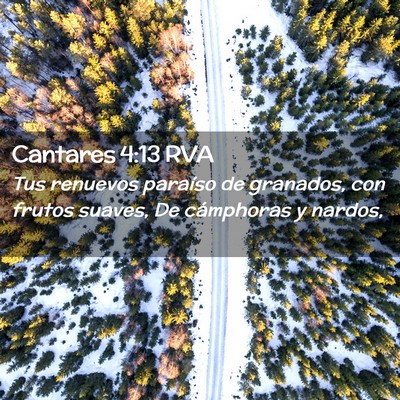 Picture 02 - Cantares 4:13 RVA - Tus renuevos paraíso de granados, con frutos - Bible Verse Picture