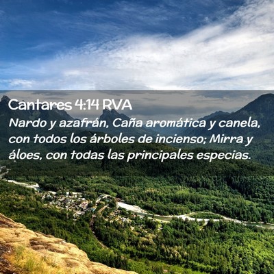 Picture 02 - Cantares 4:14 RVA - Nardo y azafrán, Caña aromática y canela, con - Bible Verse Picture