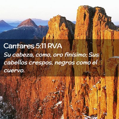 Picture 02 - Cantares 5:11 RVA - Su cabeza, como, oro finísimo; Sus cabellos - Bible Verse Picture