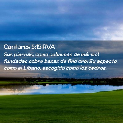 Picture 02 - Cantares 5:15 RVA - Sus piernas, como columnas de mármol fundadas - Bible Verse Picture