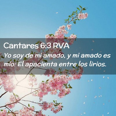 Picture 02 - Cantares 6:3 RVA - Yo soy de mi amado, y mi amado es mío: El - Bible Verse Picture