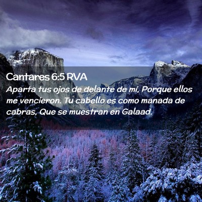 Picture 02 - Cantares 6:5 RVA - Aparta tus ojos de delante de mí, Porque ellos - Bible Verse Picture
