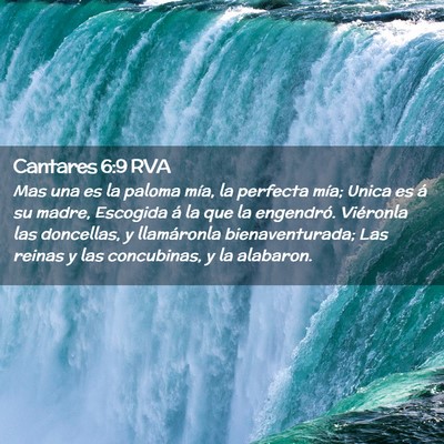 Picture 02 - Cantares 6:9 RVA - Mas una es la paloma mía, la perfecta mía; - Bible Verse Picture