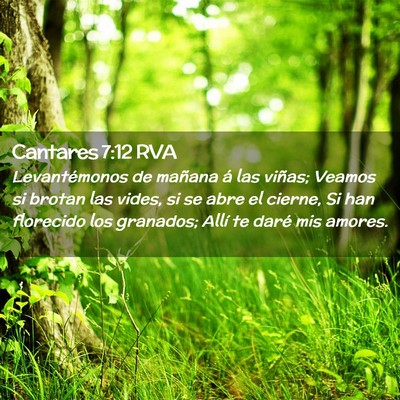 Picture 02 - Cantares 7:12 RVA - Levantémonos de mañana á las viñas; Veamos si - Bible Verse Picture