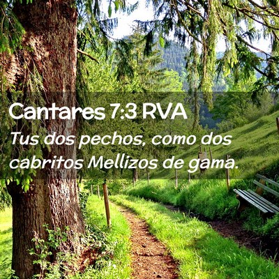Picture 02 - Cantares 7:3 RVA - Tus dos pechos, como dos cabritos Mellizos de - Bible Verse Picture