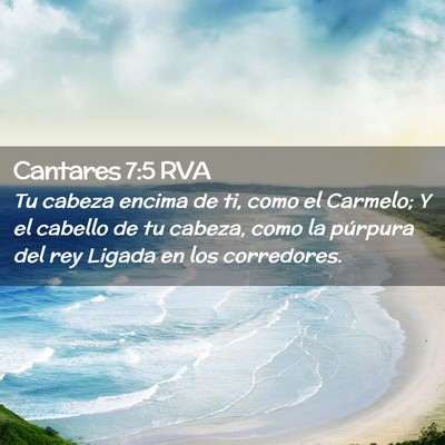 Picture 02 - Cantares 7:5 RVA - Tu cabeza encima de ti, como el Carmelo; Y el - Bible Verse Picture