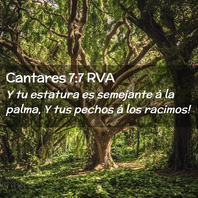 Picture 02 - Cantares 7:7 RVA - Y tu estatura es semejante á la palma, Y tus - Bible Verse Picture