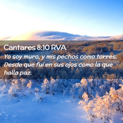 Picture 02 - Cantares 8:10 RVA - Yo soy muro, y mis pechos como torres, Desde que - Bible Verse Picture