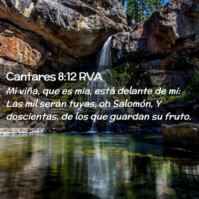 Picture 02 - Cantares 8:12 RVA - Mi viña, que es mía, está delante de mí: Las - Bible Verse Picture