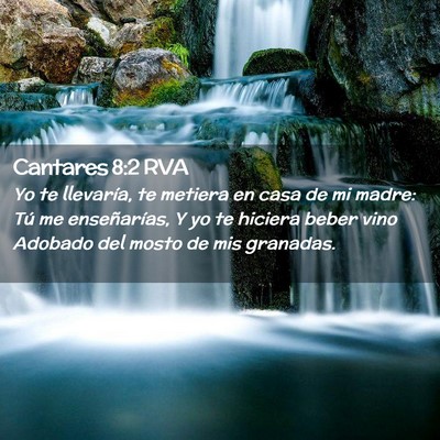 Picture 02 - Cantares 8:2 RVA - Yo te llevaría, te metiera en casa de mi madre: - Bible Verse Picture