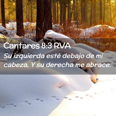 Picture 02 - Cantares 8:3 RVA - Su izquierda esté debajo de mi cabeza, Y su - Bible Verse Picture