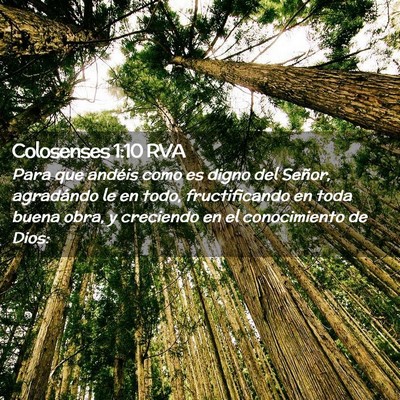 Picture 02 - Colosenses 1:10 RVA - Para que andéis como es digno del Señor, - Bible Verse Picture