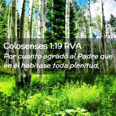 Picture 02 - Colosenses 1:19 RVA - Por cuanto agradó al Padre que en él habitase - Bible Verse Picture