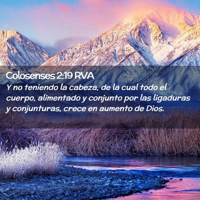 Picture 02 - Colosenses 2:19 RVA - Y no teniendo la cabeza, de la cual todo el - Bible Verse Picture
