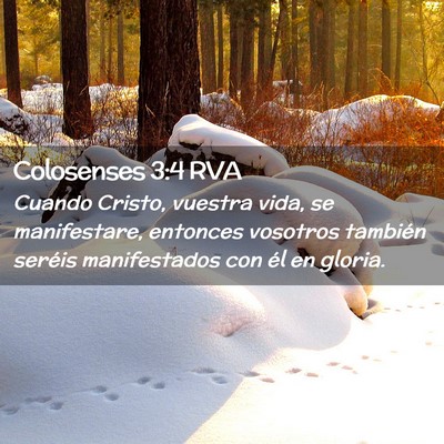 Picture 02 - Colosenses 3:4 RVA - Cuando Cristo, vuestra vida, se manifestare, - Bible Verse Picture