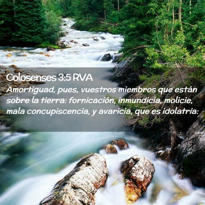 Picture 02 - Colosenses 3:5 RVA - Amortiguad, pues, vuestros miembros que están - Bible Verse Picture