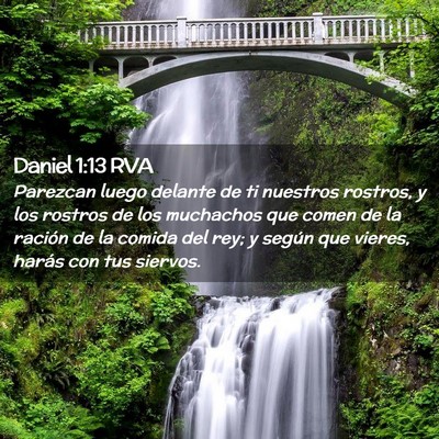 Picture 02 - Daniel 1:13 RVA - Parezcan luego delante de ti nuestros rostros, y - Bible Verse Picture