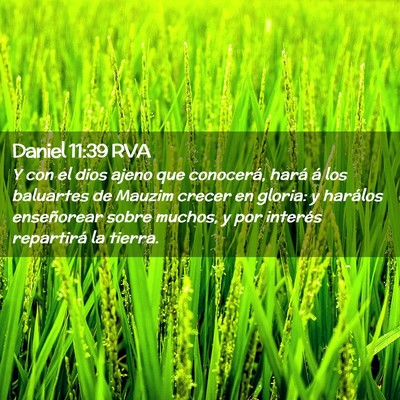 Picture 02 - Daniel 11:39 RVA - Y con el dios ajeno que conocerá, hará á los - Bible Verse Picture