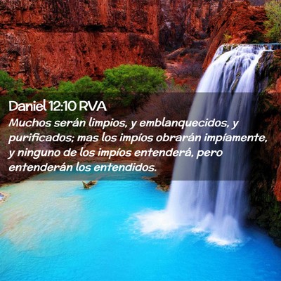 Picture 02 - Daniel 12:10 RVA - Muchos serán limpios, y emblanquecidos, y - Bible Verse Picture