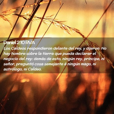 Picture 02 - Daniel 2:10 RVA - Los Caldeos respondieron delante del rey, y - Bible Verse Picture