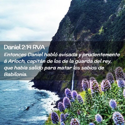Picture 02 - Daniel 2:14 RVA - Entonces Daniel habló avisada y prudentemente á - Bible Verse Picture